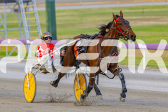 2025_PACEPIX_GP18112025_RACE5_Arum_WIN_WEB-8