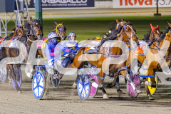 RACE 5 - Bettors Fortune