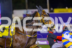 2026_PACEPIX_GP10072026_Race5_BettorsPride_WIN_WEB-10