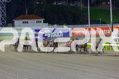 2026_PACEPIX_GP10072026_Race5_BettorsPride_WIN_WEB-11