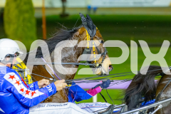 2026_PACEPIX_GP10072026_Race5_BettorsPride_WIN_WEB-3