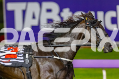 2026_PACEPIX_GP10072026_Race5_BettorsPride_WIN_WEB-7