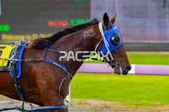 2026_PACEPIX_GP20072026_RACE5_BeyondTheSea_WIN_WEB-9
