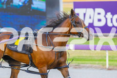 2026_PACEPIX_GP24022026_RACE5_Blitzar_WIN_WEB-11