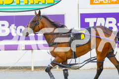 2026_PACEPIX_GP24022026_RACE5_Blitzar_WIN_WEB-14