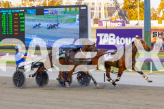 2025_PACEPIX_GP02122025_Race5_Brookvalegirl_WIN_WEB-10
