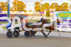 2025_PACEPIX_GP02122025_Race5_Brookvalegirl_WIN_WEB-11