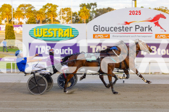 2025_PACEPIX_GP02122025_Race5_Brookvalegirl_WIN_WEB-12