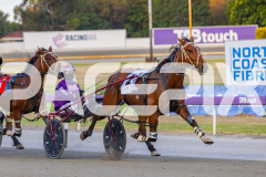 2025_PACEPIX_GP02122025_Race5_Brookvalegirl_WIN_WEB-2