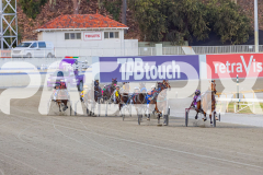 2025_PACEPIX_GP02122025_Race5_Brookvalegirl_WIN_WEB-5