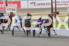 2025_PACEPIX_GP02122025_Race5_Brookvalegirl_WIN_WEB-6