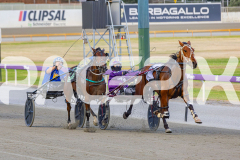 2025_PACEPIX_GP02122025_Race5_Brookvalegirl_WIN_WEB-7