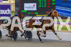 2025_PACEPIX_GP02122025_Race5_Brookvalegirl_WIN_WEB-9