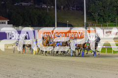2025_PACEPIX_GP10102025_RACE5_CopyCatQueen_WIN_WEB-1