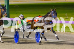 2025_PACEPIX_GP10102025_RACE5_CopyCatQueen_WIN_WEB-10