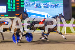 2025_PACEPIX_GP10102025_RACE5_CopyCatQueen_WIN_WEB-12