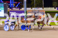 2025_PACEPIX_GP10102025_RACE5_CopyCatQueen_WIN_WEB-13