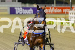 2025_PACEPIX_GP10102025_RACE5_CopyCatQueen_WIN_WEB-18