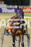 2025_PACEPIX_GP10102025_RACE5_CopyCatQueen_WIN_WEB-19