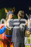 2025_PACEPIX_GP10102025_RACE5_CopyCatQueen_WIN_WEB-22