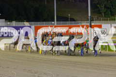 2025_PACEPIX_GP10102025_RACE5_CopyCatQueen_WIN_WEB-4