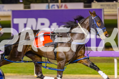 2025_PACEPIX_GP10102025_RACE5_CopyCatQueen_WIN_WEB-7