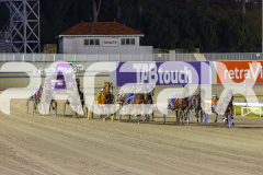 2025_PACEPIX_GP10102025_RACE5_CopyCatQueen_WIN_WEB-8