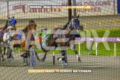 2026_PACEPIX_GP16102026_Race5_CopyCatQueen_WIN_WEB-1