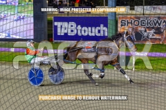 2026_PACEPIX_GP16102026_Race5_CopyCatQueen_WIN_WEB-10