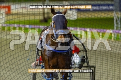 2026_PACEPIX_GP16102026_Race5_CopyCatQueen_WIN_WEB-16