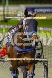 2026_PACEPIX_GP16102026_Race5_CopyCatQueen_WIN_WEB-17