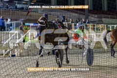 2026_PACEPIX_GP16102026_Race5_CopyCatQueen_WIN_WEB-21