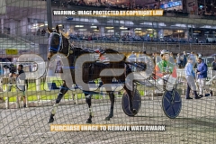 2026_PACEPIX_GP16102026_Race5_CopyCatQueen_WIN_WEB-22