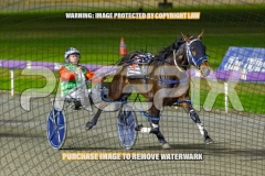 2026_PACEPIX_GP16102026_Race5_CopyCatQueen_WIN_WEB-8