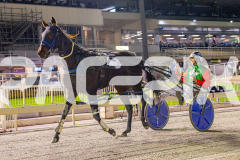 RACE 5 - Copy Cat Queen