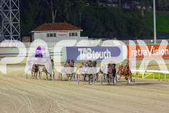2025_PACEPIX_GP04072025_Race5_CopyCatQueen_WIN_WEB-1
