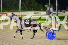 2025_PACEPIX_GP04072025_Race5_CopyCatQueen_WIN_WEB-11