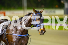 2025_PACEPIX_GP04072025_Race5_CopyCatQueen_WIN_WEB-13