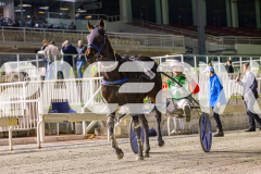 2025_PACEPIX_GP04072025_Race5_CopyCatQueen_WIN_WEB-14