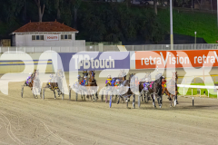 2025_PACEPIX_GP04072025_Race5_CopyCatQueen_WIN_WEB-2
