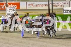 2025_PACEPIX_GP04072025_Race5_CopyCatQueen_WIN_WEB-3