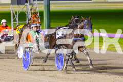 2025_PACEPIX_GP04072025_Race5_CopyCatQueen_WIN_WEB-4