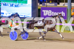2025_PACEPIX_GP04072025_Race5_CopyCatQueen_WIN_WEB-6