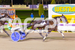 2025_PACEPIX_GP04072025_Race5_CopyCatQueen_WIN_WEB-7