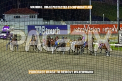 2026_PACEPIX_GP06102026_Race5_Cordero_WIN_WEB-11
