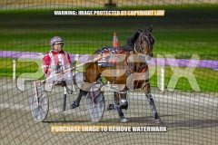 2026_PACEPIX_GP06102026_Race5_Cordero_WIN_WEB-19