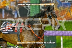 2026_PACEPIX_GP06102026_Race5_Cordero_WIN_WEB-21
