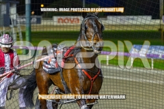 2026_PACEPIX_GP06102026_Race5_Cordero_WIN_WEB-26