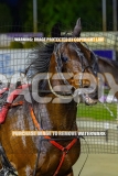 2026_PACEPIX_GP06102026_Race5_Cordero_WIN_WEB-27