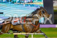 2026_PACEPIX_GP06102026_Race5_Cordero_WIN_WEB-5